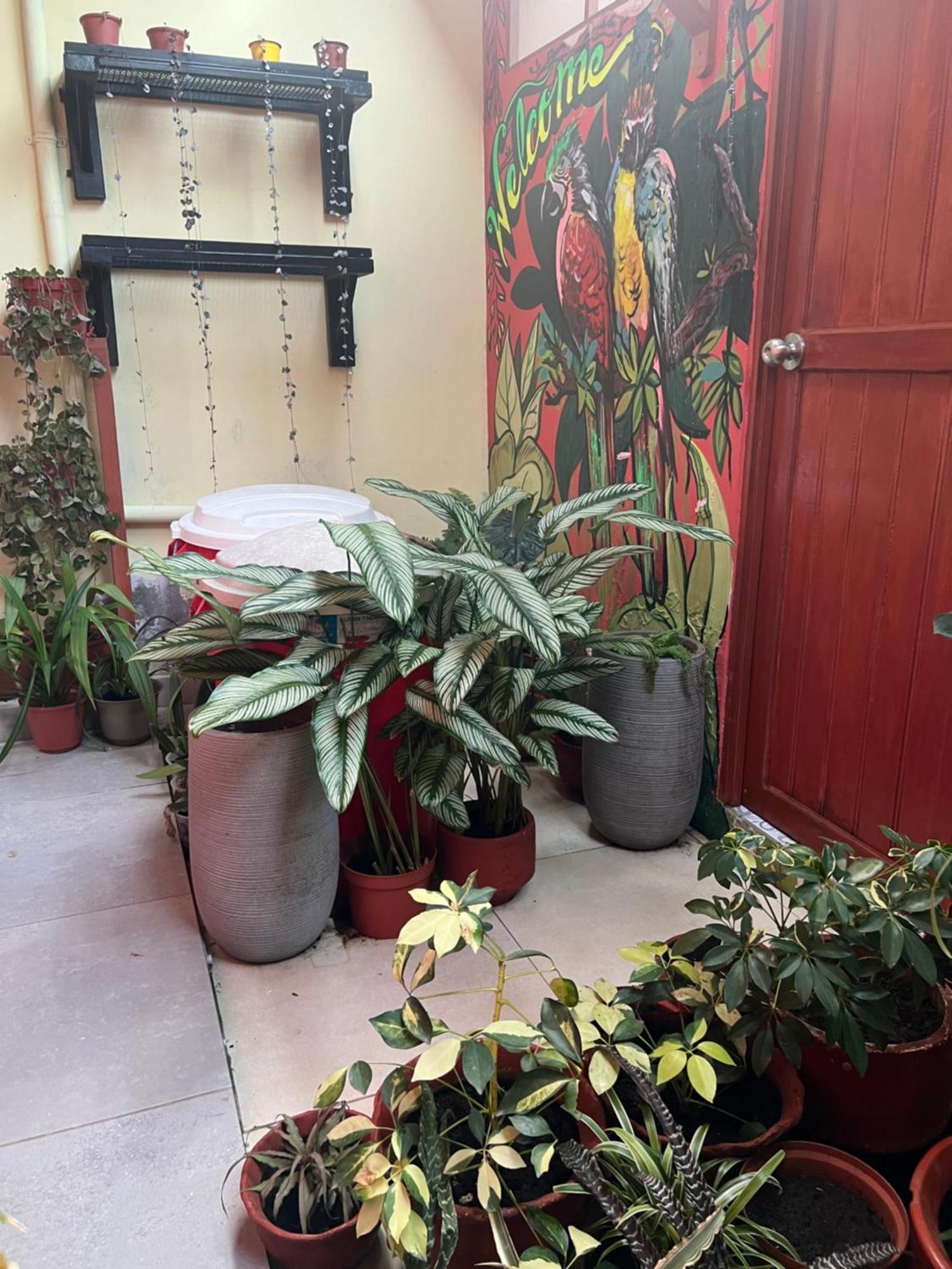 Casa Micaela Apartment อีกีโตส ภายนอก รูปภาพ